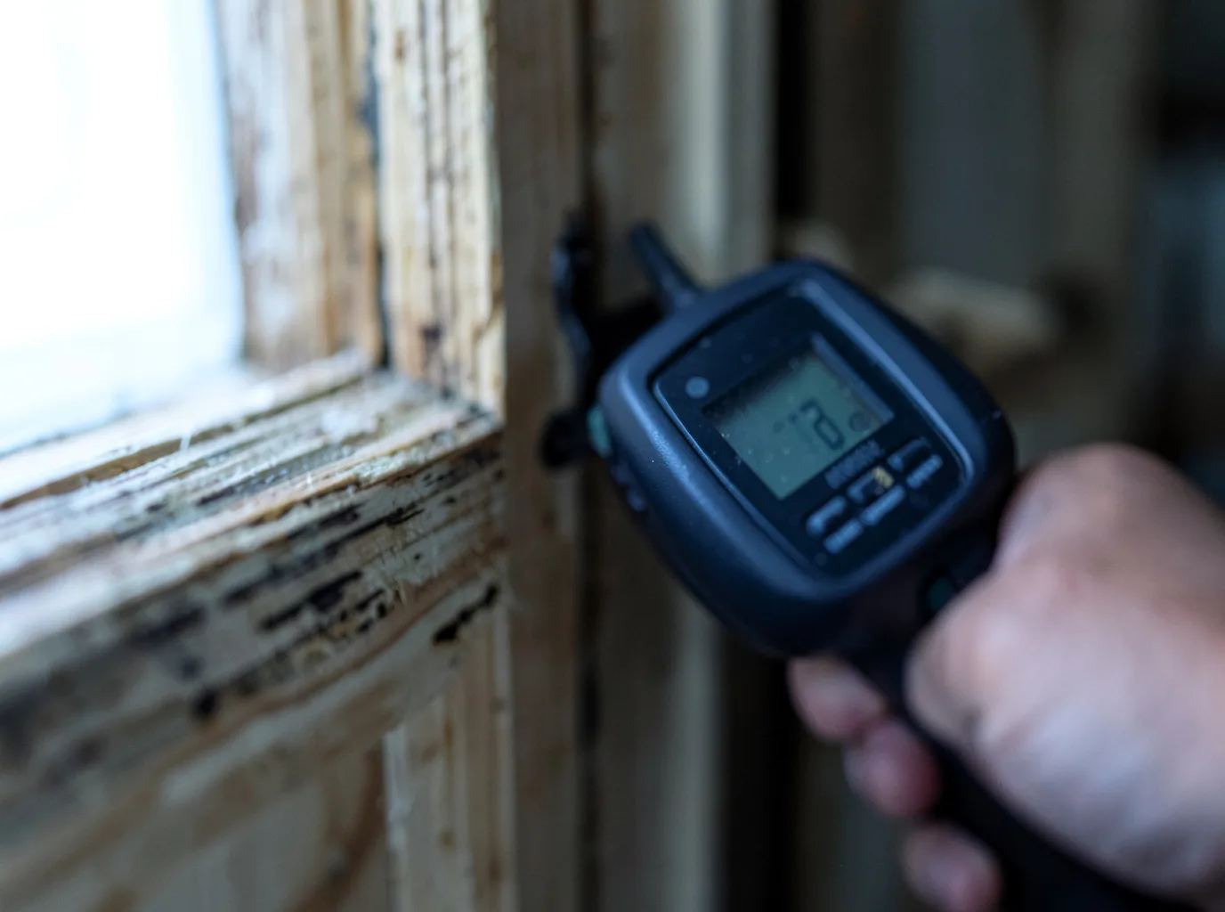 Water Damage Restoration Ida, MI FAQs